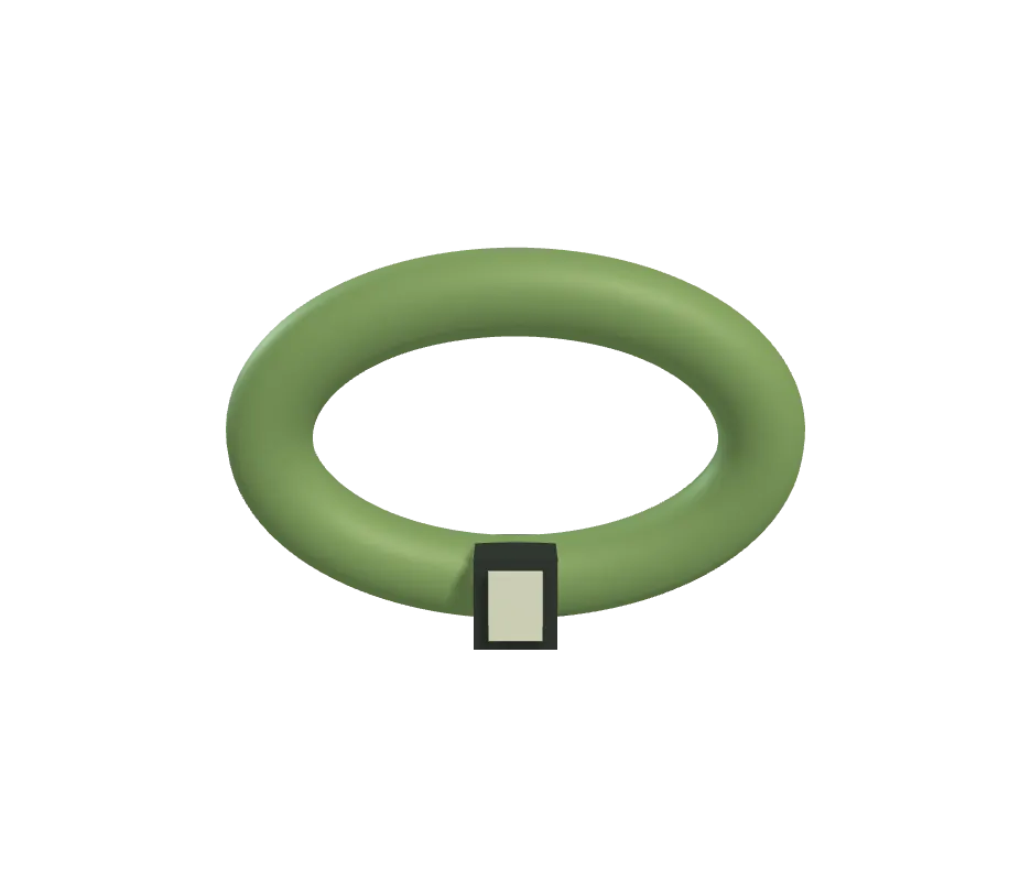 Concept render of a loop strap with a clasp